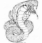 Coloring Snake Python Rattlesnake Pages Drawing Garter Diamondback Cobra Snakes Printable Getcolorings Getdrawings Great Strikingly Drawings Clipartmag Paintingvalley Entitlementtrap Print sketch template