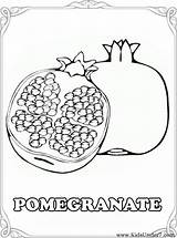 Pomegranate Granada Frutas Berries Fruta Pomegrante Drawing sketch template