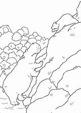 Polar Lars Ijsbeer Plume Kleurplaten Ursinho Avontuur Coloriez Osito Nijlpaard Eisbar Polaire Lours Ausmalbild Helfen Choisis Tes Malvorlagen1001 Animaatjes sketch template