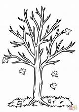 Coloring Tree Fall Pages Printable Drawing Colorings sketch template