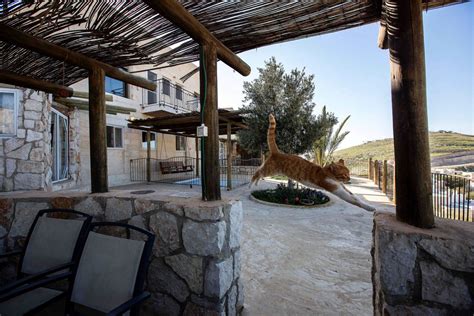 airbnb reverses   listings  israeli settlements