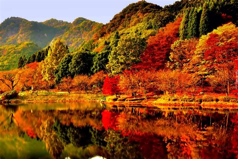jesien jezioro kolorowe drzewa