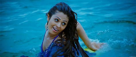 Anjana Sukhani Hot Song From Don Seenu Hot Hd Videos