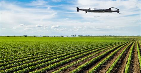 top  benefits   drone  role  drone technology  agriculture
