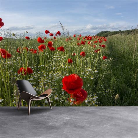 red poppy field floral wall mural wallpaper