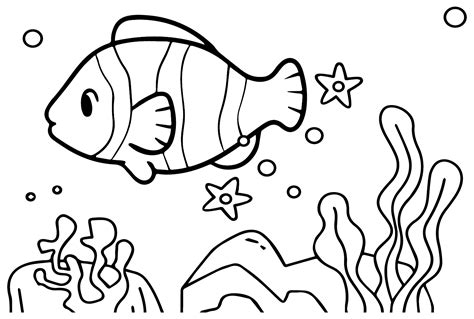 clownfish images coloring page  printable coloring pages