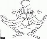 Coppia Uccelli Colorare Disegni Cupido sketch template
