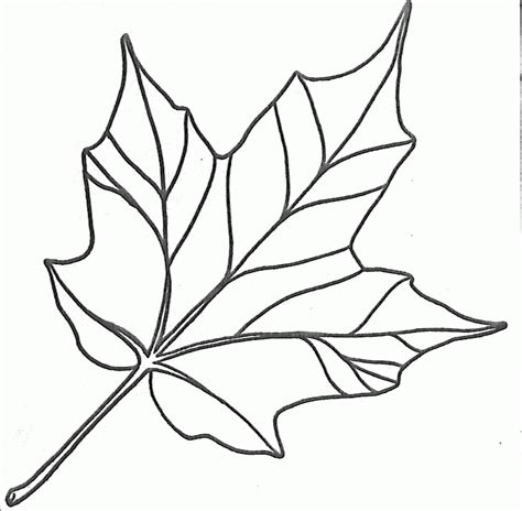 leaf coloring pages  preschool coloring home