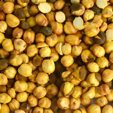 yellow roasted  chana  kg high  protein rs  kg id