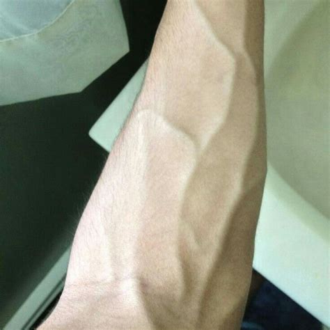 Veinnyarms Fitness Veiny Arms Veins Daily Thoughts