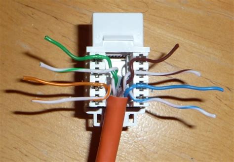 cat  wiring diagram wall jack    wiring diagram