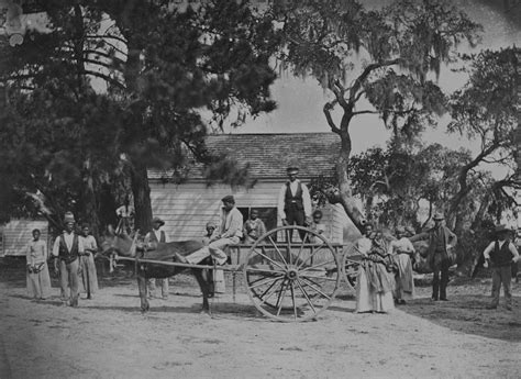 File James Hopkinsons Plantation Slaves Going To Field