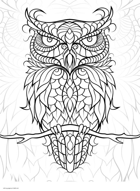 bird coloring pages