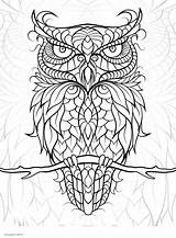 Coloring Bird Pages Adults Birds Printable Print Adult Realistic Look Books Other sketch template