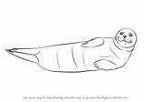 Seal Drawing Draw Harbor Step Seals Animal Monk Hawaiian Outline Drawings Tutorials Learn Drawingtutorials101 Paintingvalley Doodle Common Tutorial sketch template