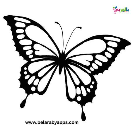 stencil printable  size butterfly templates printable
