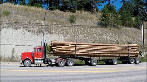 logs   log truck gelomanias