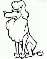 Coloring Poodle Pages Popular Library Clipart Duck sketch template