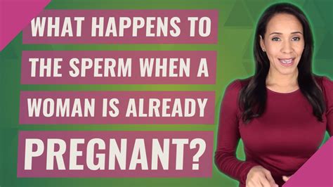 what happens to the sperm when a woman is already pregnant youtube