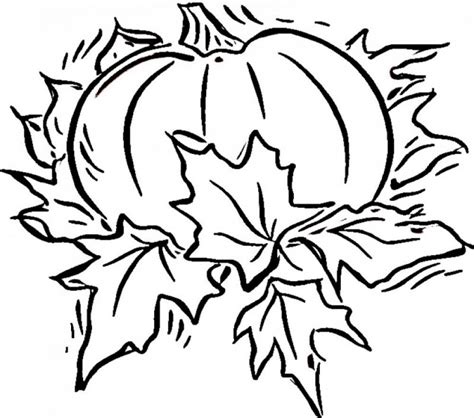 blank coloring pages  kids osr