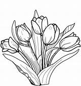 Tulipany Tulipan Kolorowanka Drukuj sketch template