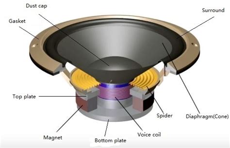 speakers work  parts   speaker complete guide