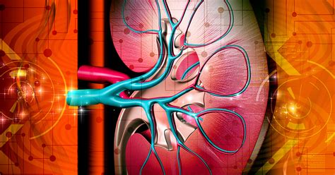 chronic kidney disease ckd symptoms  treatment national