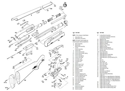remington  express review proscons parts diagram remington model   express