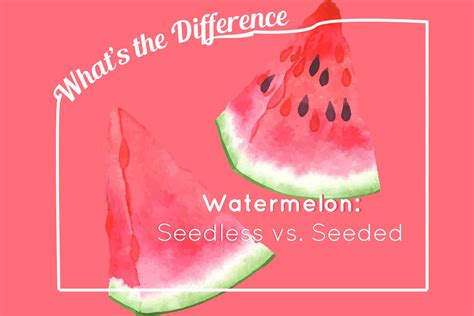 whats  difference  seedless  seeded watermelons kitchn