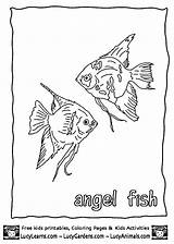 Coloring Pages Fish Animal Angel Tropical Book Print sketch template