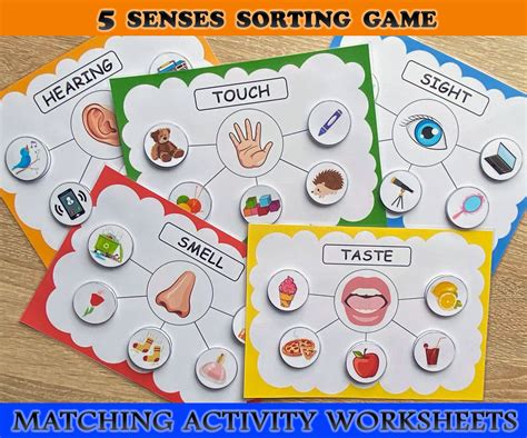 senses sorting activity printable senses sorting stickhealthcare