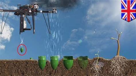 seed bomb drones uk based start   plant  billion trees   year  drones youtube
