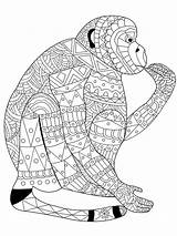 Monkey Coloring Pages Adults Adult Stress Book Anti Lace Vector Coloriage Color Zentangle Mandala Colouring Animal Illustration Sheets Printable Cute sketch template