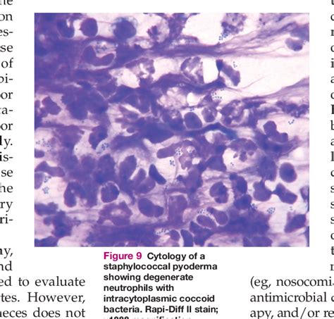 Figure 7 From Feline Eosinophilic Granuloma Complex Ities Semantic