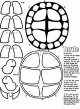 Turtle Coloring Pages Ninja Turtles Shell Crayola Printable Template Cut Party Craft Print Color Pattern Kids Birthday Sheets Teenage Crafts sketch template