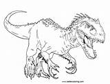 Jurassic Rex Coloring Pages Indominus Printable Dinosaur Print Kids Adults Mosasaurus Color Park Dinosaurs Vs Sheets Tyrannosaurus Realistic Sketch Easy sketch template