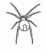 Widow Spider Pages Coloring Draw Easy Spiders Kids Printable Sketch Template Tutorial Print sketch template