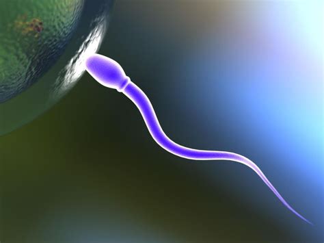 Какой должна быть сперма здорового мужчины консистенция цвет запах От чего зависит