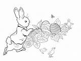 Rabbit Supercoloring Coloring4free Hase Konijn Pieter Beatrix Malvorlagan sketch template