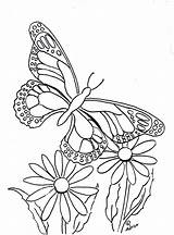 Butterfly Coloring Print Pages Color Printable Flower Butterflies Kids Flowers Paintable Copy Sheets Adult sketch template