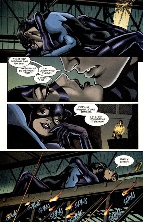 nightwing and catwoman batman and dc pinterest nightwing catwoman and batman