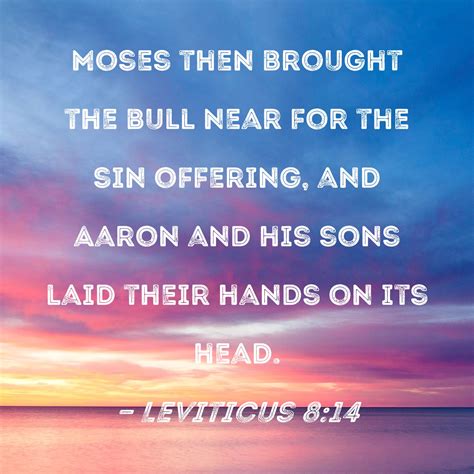 leviticus 8 14 moses then brought the bull near for the sin offering