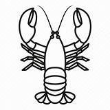 Lobster Crayfish Outline Line Drawing Icon Gourmet Cancer Food Clipart Clipartmag Editor Open Getdrawings sketch template