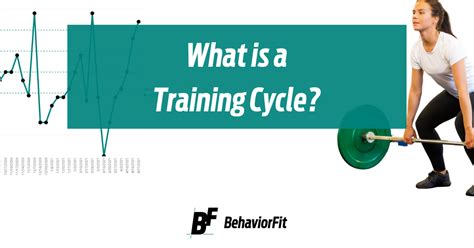 training cycle behaviorfit health fitness  applied