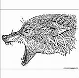 Coyote Coloring Pages Printable Adult Animal sketch template