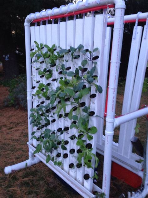 vertical hydroponic farm hydroponic gardening