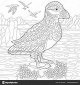 Puffin Zentangle Bird Stylized Arctic Seabird Freehand Waters Adult sketch template