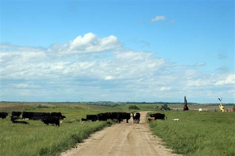 I 90 Roadside Attractions In Eastern South Dakota