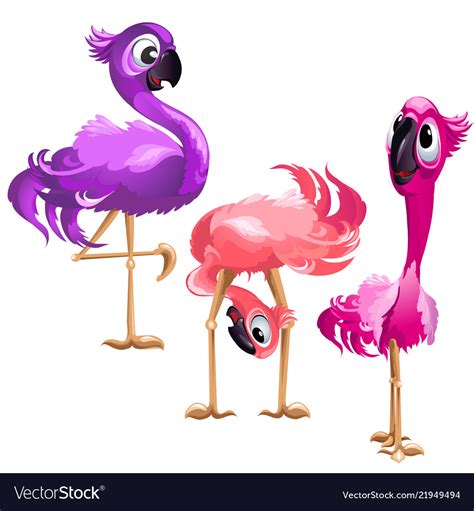 three funny flamingo isolated on white background vector image