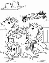 Ausmalbilder Little Poney Fargeleggingsark Sims Ponni Tegninger Colorir Tegning Pequeno Kleinen Fargelegging Malvorlagen Fargelegge Ponies Meu Filly Ponei Liten Colorare sketch template